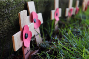 Remembrance Day – Row of Wooden Crosses with Poppies